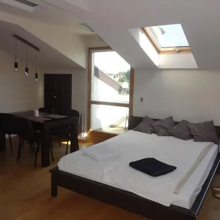 아파트 Apartament Wawel 크라쿠프